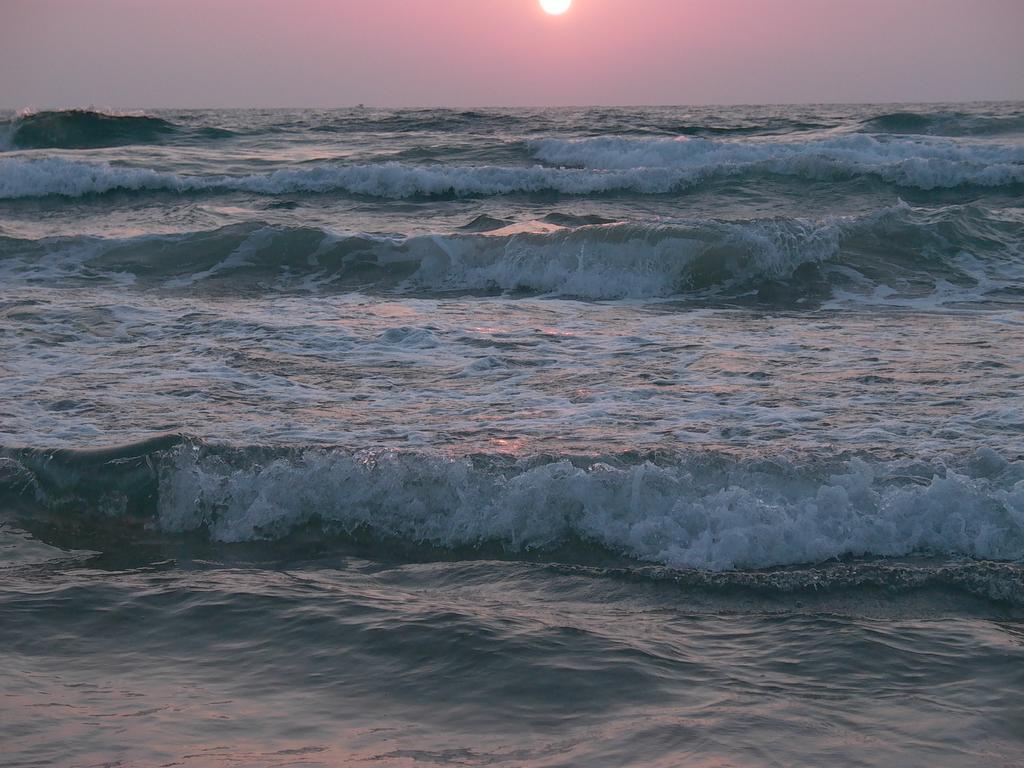 Olga Beach Apartments ไฮฟา ภายนอก รูปภาพ